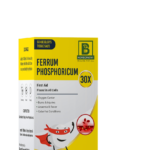 FERRUM PHOSPHORICUM BIOCHEMIC TABLETS - Image 2