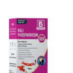 KALI PHOSPHORICUM BIOCHEMIC TABLETS - Image 2