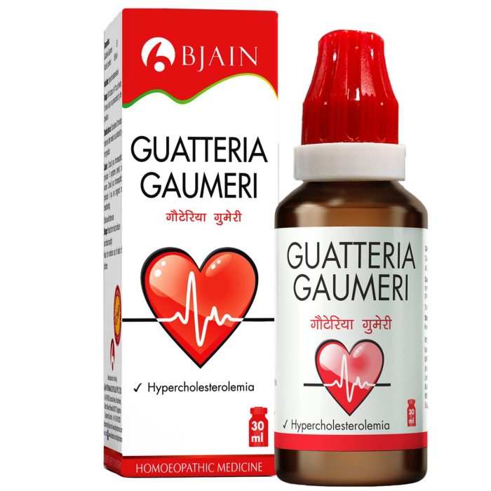 Guatteria-Gaumeri.jpg