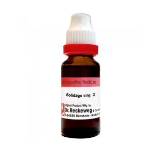 Dr. Reckeweg Solidago Virg.Q