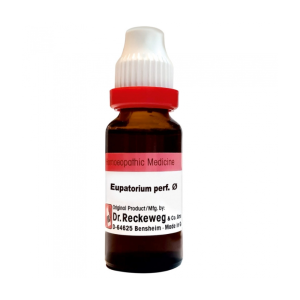 Dr. Reckeweg Eupatorium Perf. Q